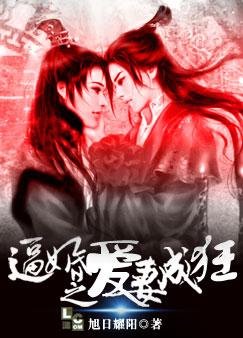 逼婚之愛妻成狂